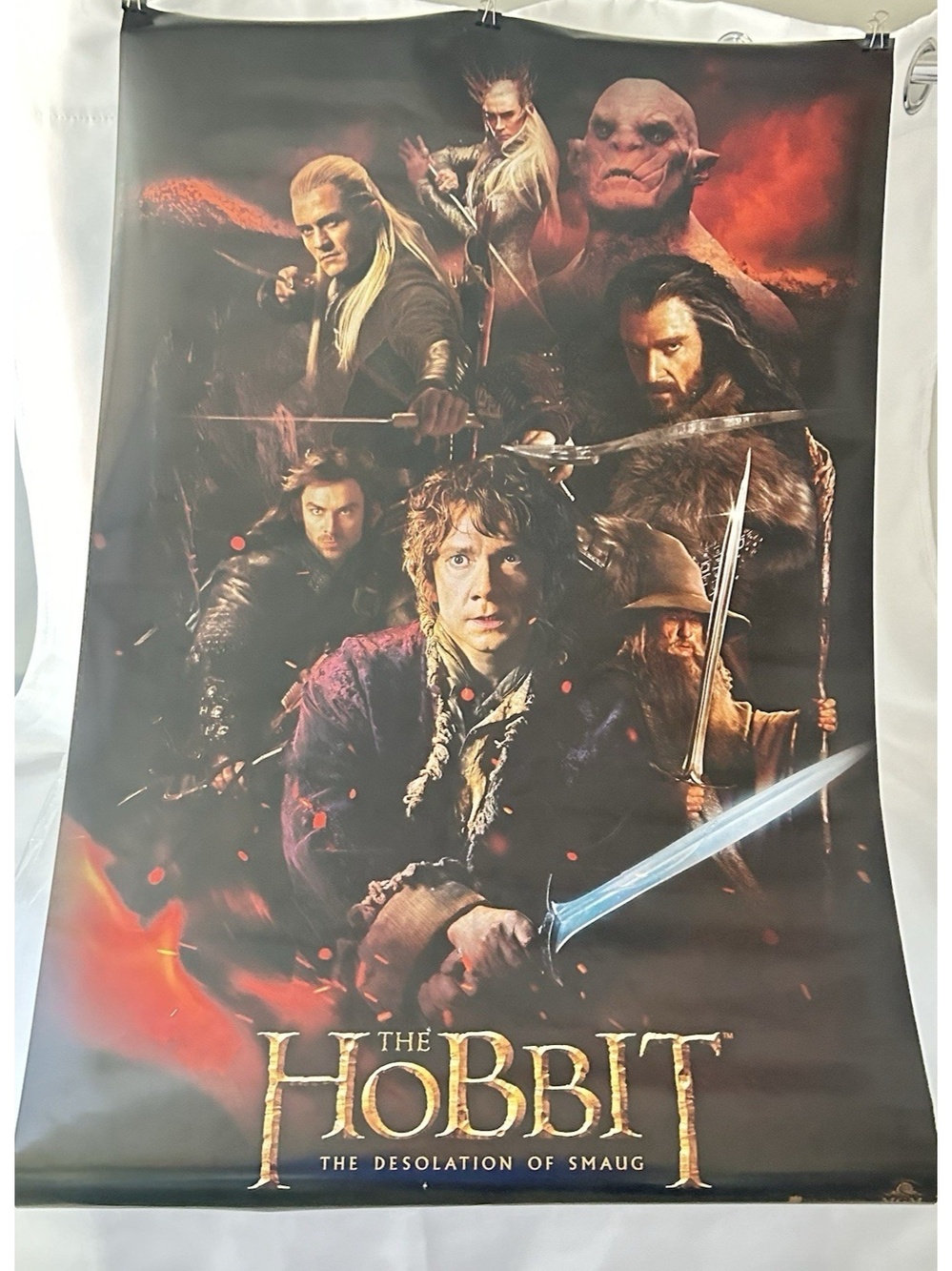 The Hobbit The Desolation of Smaug 24" x 36" Movie Poster Bilbo Gandalf & Others